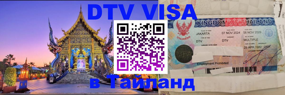 ДТВ VISA Тайланд для фрилансеров Веллингтон 